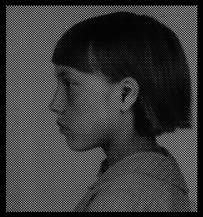 Anne-Karin Furunes, Portrait of Pictures / VI, 2016