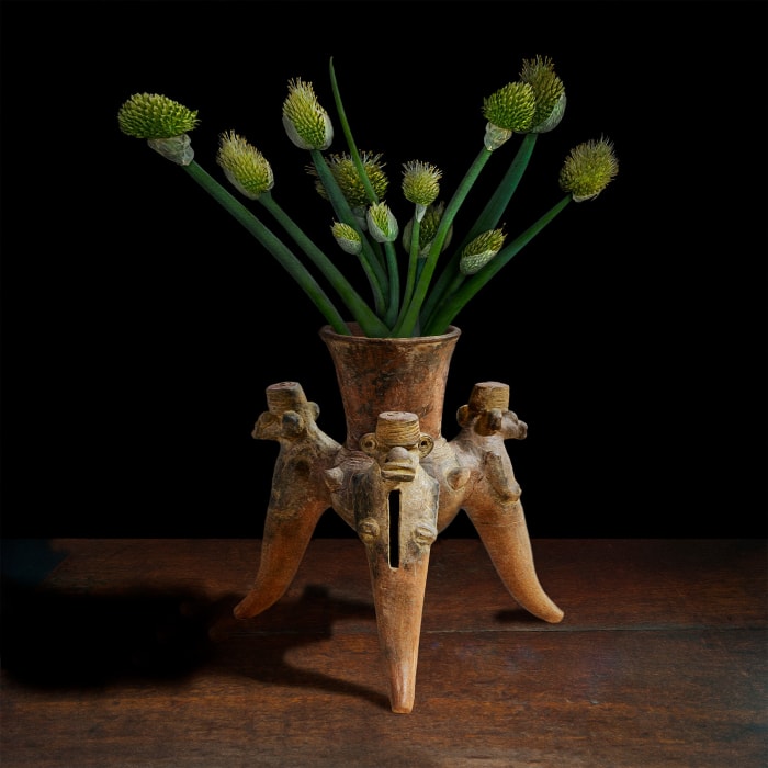 T.M. Glass, Alium in an Ancient American Tripod Vessel, 2017