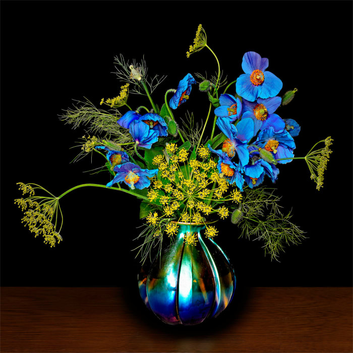 T.M. Glass, Blue Poppies with Dill Flowers, 2023