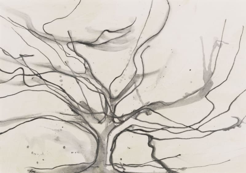 Lizzie Rose, Oak Drawing, 2024
