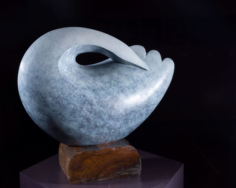 Illona Morrice, Swan