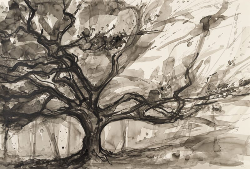 Lizzie Rose, Forest Source, 2025