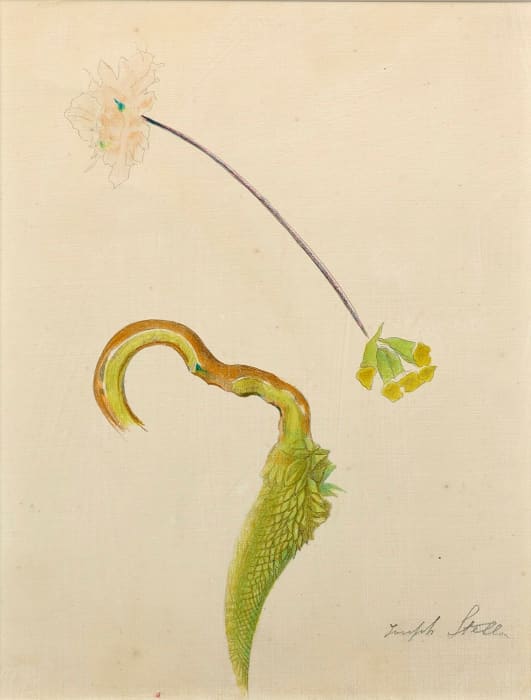Joseph Stella, Tropical Flower with Azalea, circa 1919