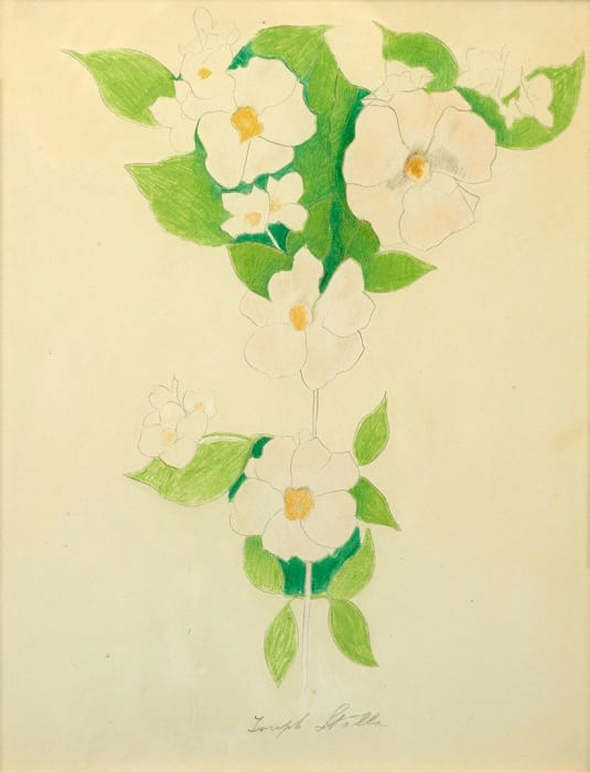 Joseph Stella, Flowers
