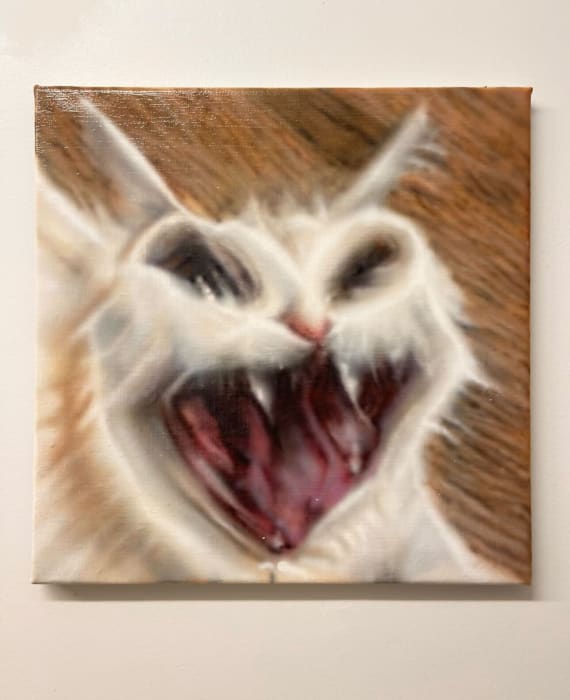 Patrick Quinn, Cat #5, 2023