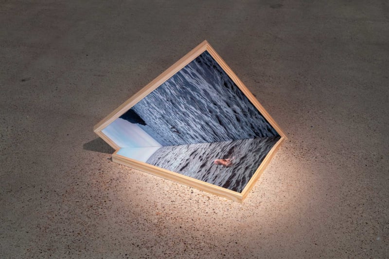 Rosie Clements, Clipping, 2025