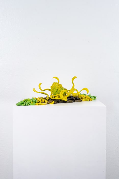 Audrey Rodriguez, El Pulpo, 2023