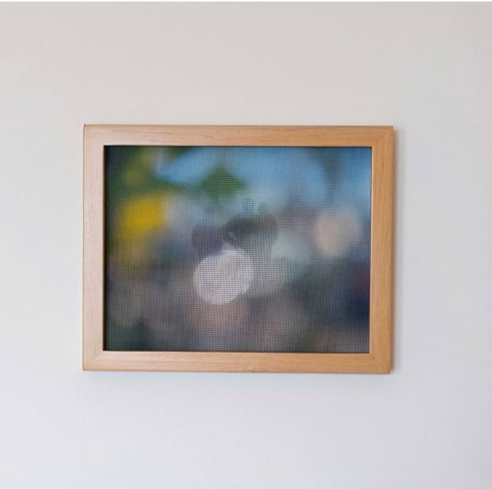 Rosie Clements, Glint, 2025