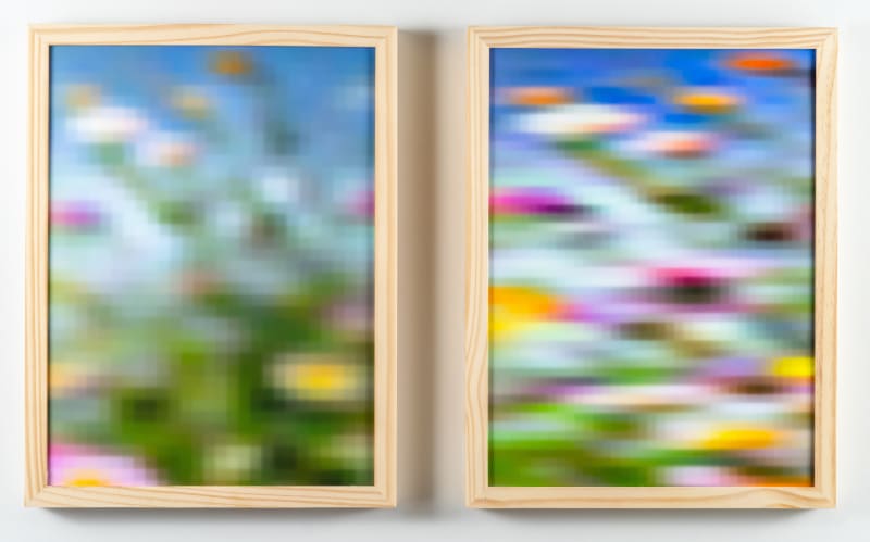 Rosie Clements, Untitled 01, 2024