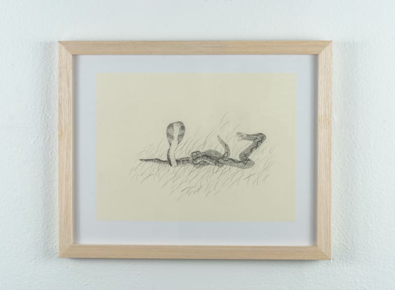 Ben Siekierski, Knotted, 2024