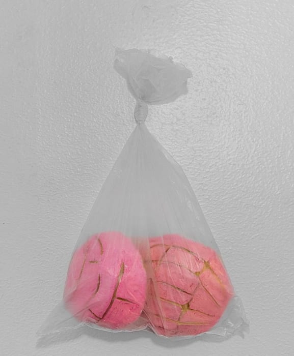 Audrey Rodriguez, Conchas, 2022