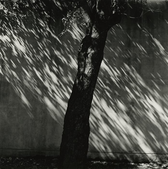 Issei Suda, Tonami, Toyama, September 17, 1976 from the series "Fushikaden", Printed ca. 1980