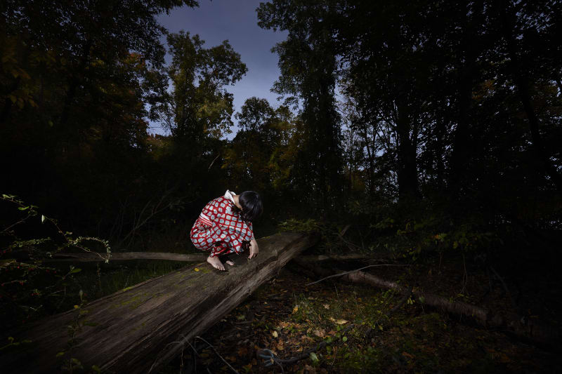 Mayumi Lake, Hunch #4984, 2014