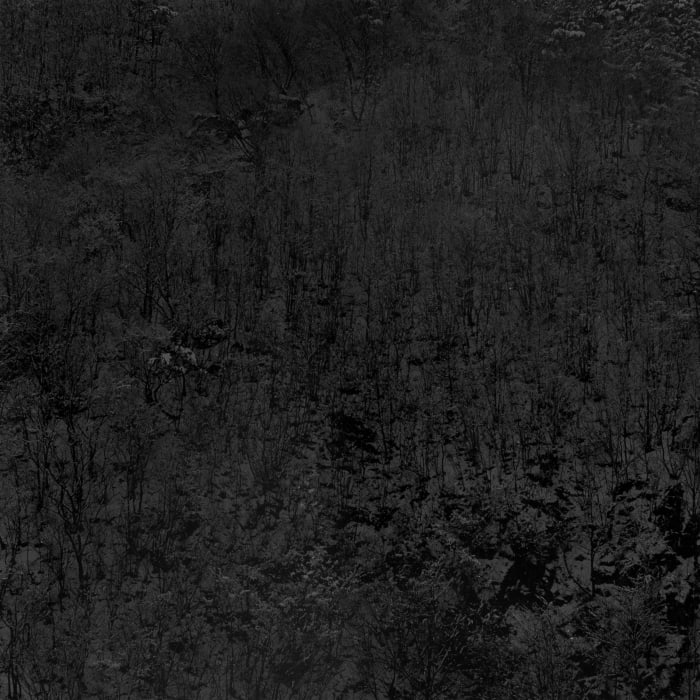 Joo Myung Duck, Mt. Odae, 1988