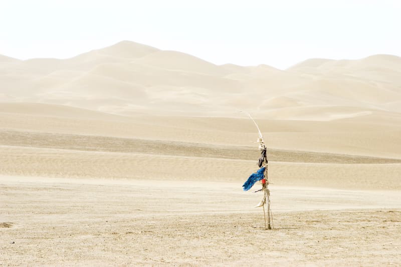 Lisa Ross, Unrevealed Site 3 (Blue Scarf), 2009