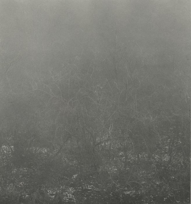 Byung-hun Min, DF009 from the Deep Fog Series, 1998