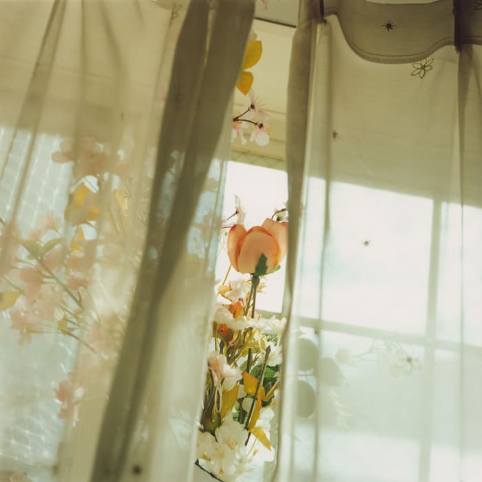 Mikiko Hara, Untitled, 2020