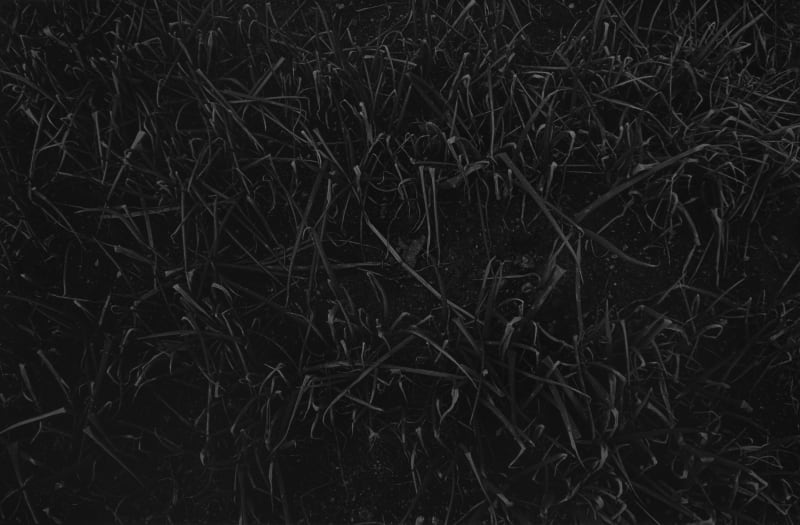Joo Myung Duck, Ilsan, 1998