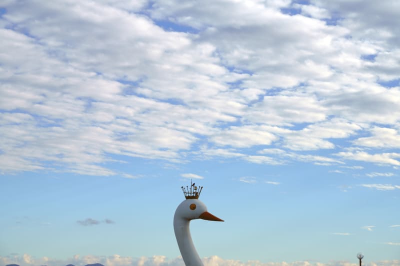 Takahiro Kaneyama, Swan Boat, 2020