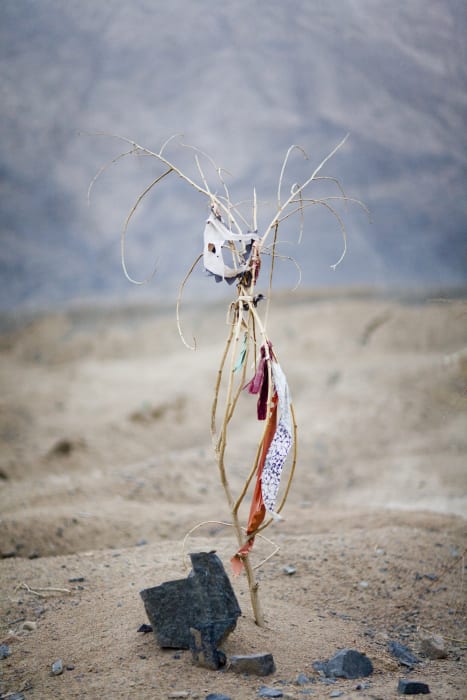 Lisa Ross, Black Garden (Bend Hymn), 2019