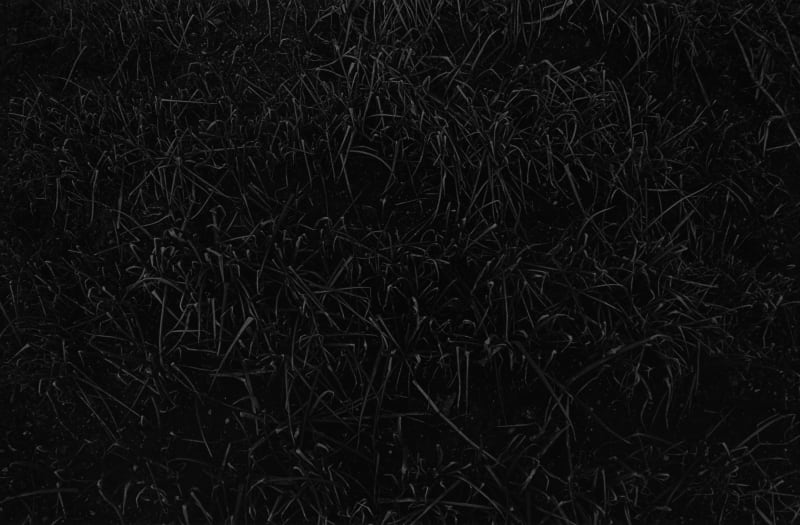 Joo Myung Duck, Ilsan, 1998