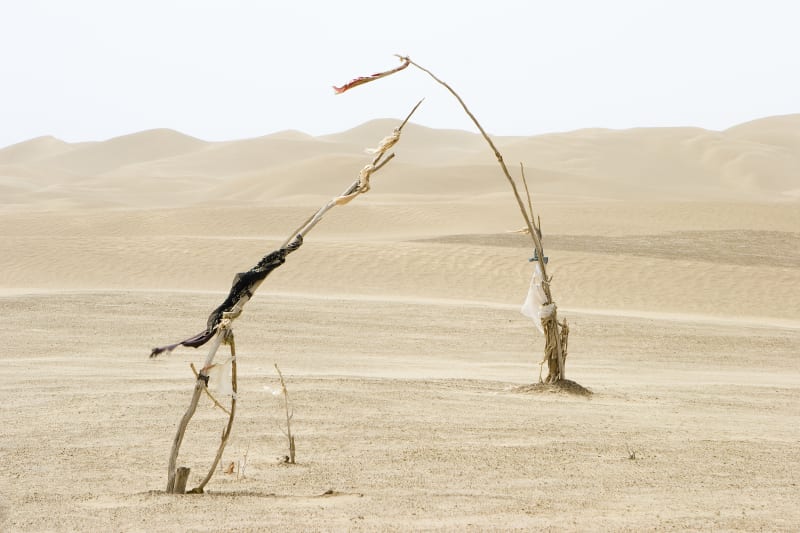 Lisa Ross, Unrevealed Site 2 (Dialogue Boundless), 2006