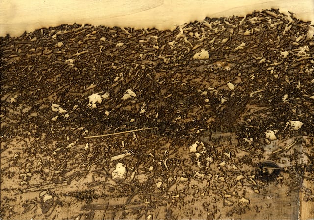 Joseph Burwell, Dirty Picture II, 2018