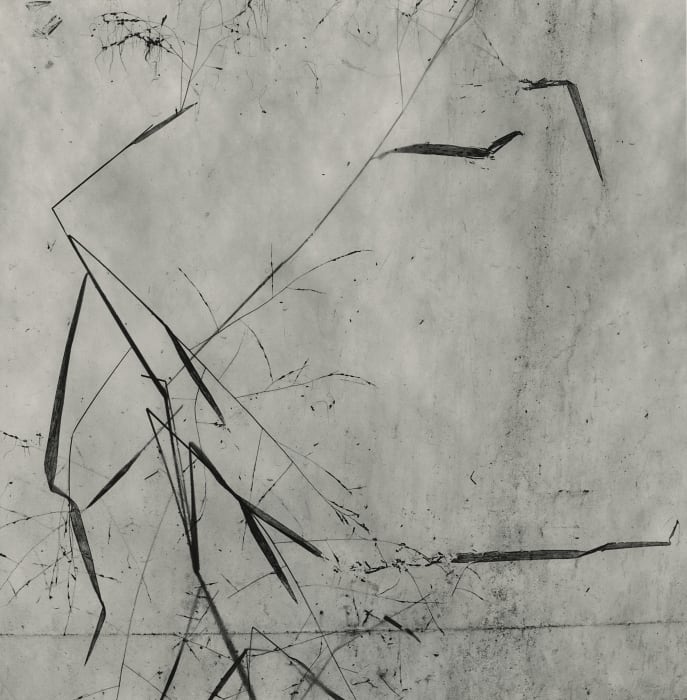 Byung-hun Min, WV021 from the Weed Series, 1996