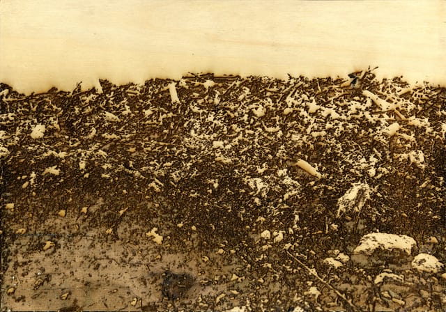Joseph Burwell, Dirty Picture I, 2018