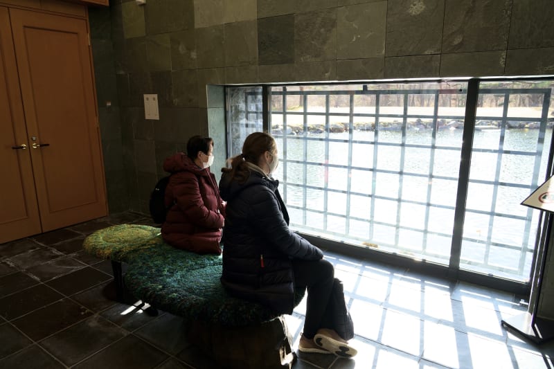 Takahiro Kaneyama, Miyako And Rebecca at a Museum in Fukushima 2, 2020