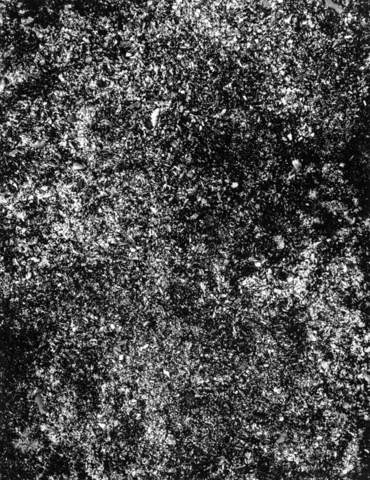 Hitoshi Fugo, KAMI 36, 2024