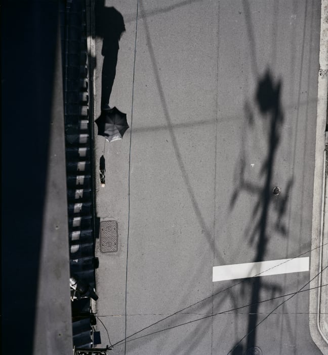 Takahiro Kaneyama, My Younger Aunt Walking Her Dog , 2009