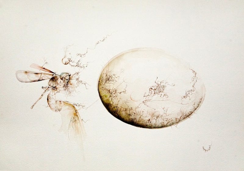 Jose Luis Fariñas, The Beginning of the Emotions, 2007