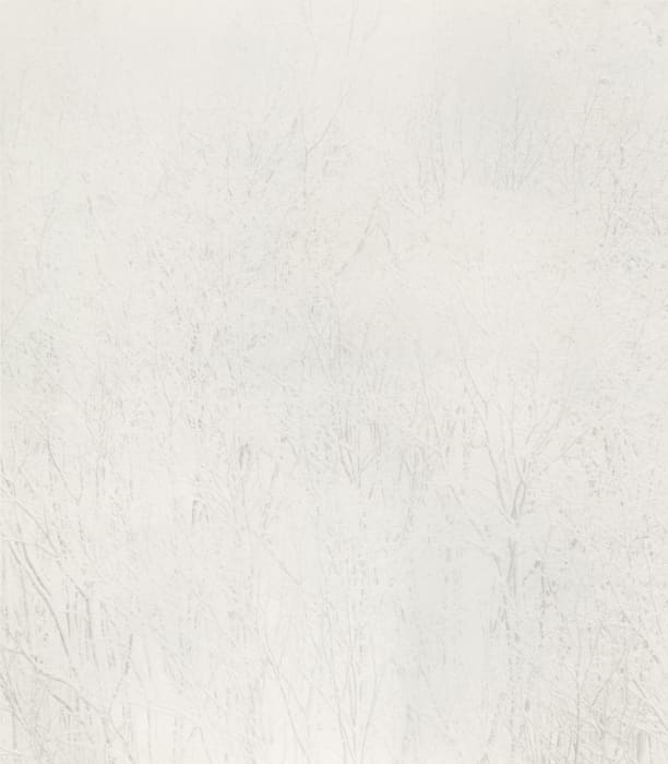 Byung-hun Min, SL133 from the Snow Land Series, 2005