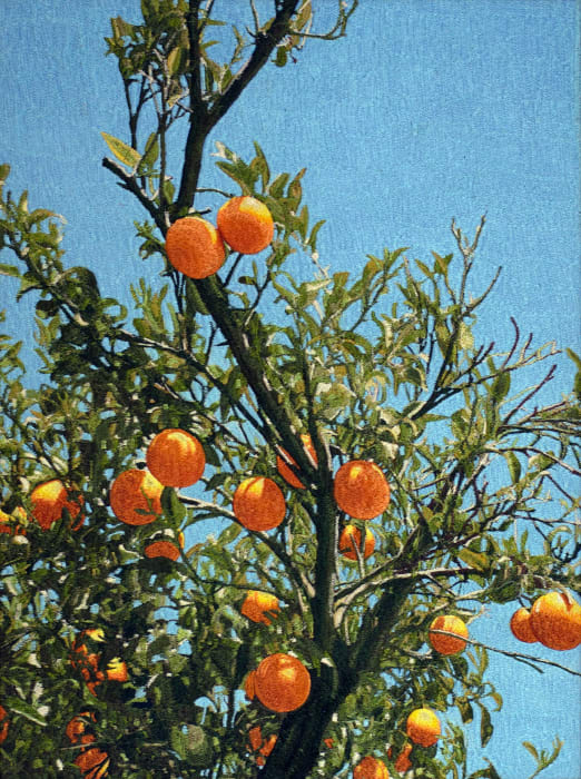 Mustafa Boğa 穆斯塔法·博伽, Orange Tree 12 橙树 12, 2025