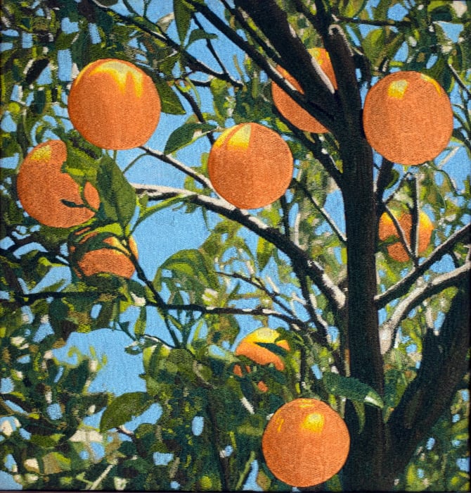 Mustafa Boğa 穆斯塔法·博伽, Orange Tree 17 橙树 17, 2025