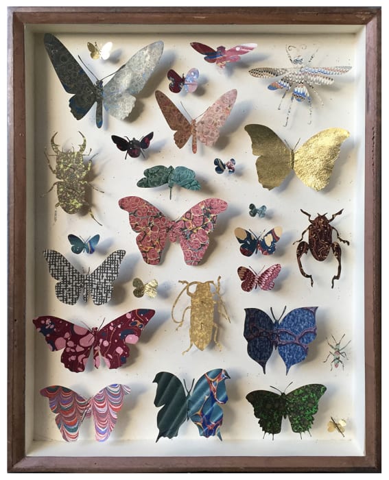 Helen Ward, Entomology Case 7, 2019