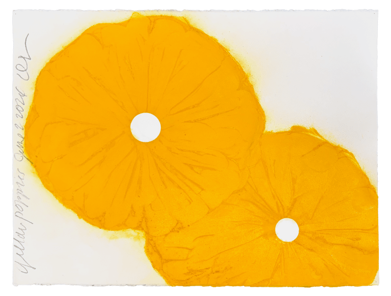 Donald Sultan, Yellow Poppies June 2 2024, 2024