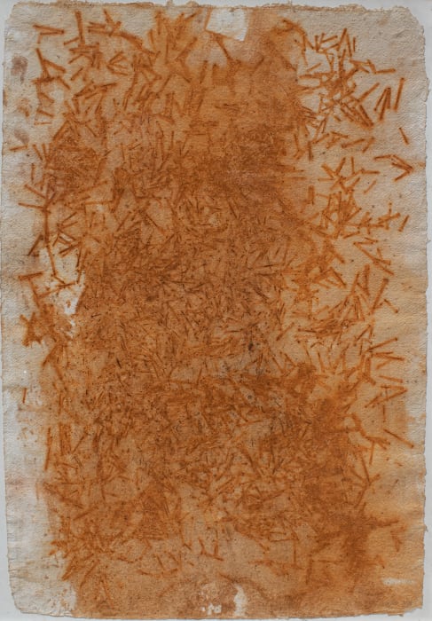 Shaanea Mendis, Cellscape 40, 2015