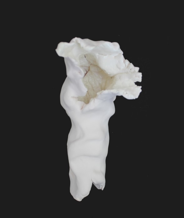 Fabienne Francotte, Still Life | Nature Morte 1, 2022