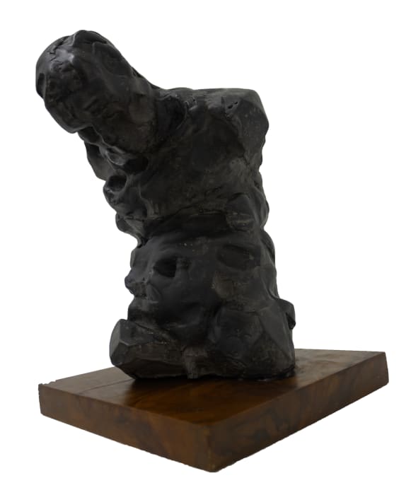 Manaram Gamage, Figure VII, 2024