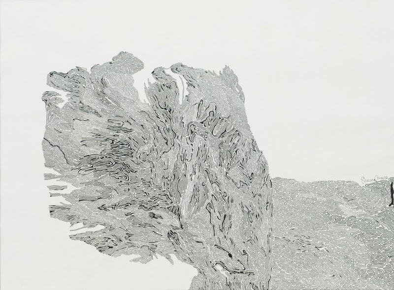 Shaanea Mendis, Cellscape II, 2012