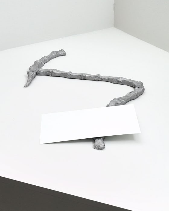 Chung Seoyoung, Bone and Walnut, 2016