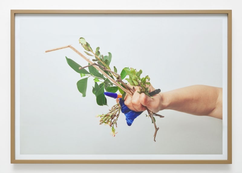 Chung Seoyoung, Evidence, 2014