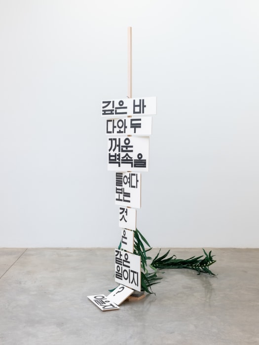 Chung Seoyoung, Deep Sea and Thick wall, 2024