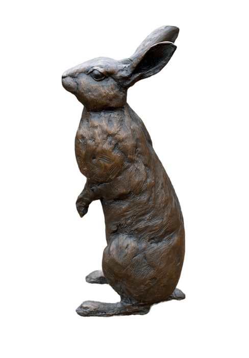 Tessa Campbell Fraser, Rabbit