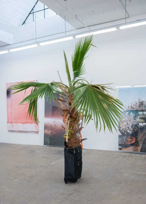 Jeremy Everett, Twin Palm, 2022