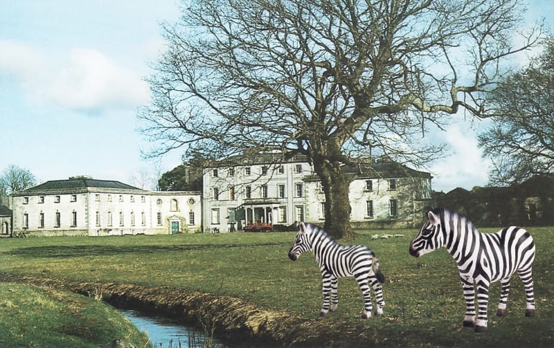 Vikky Alexander, Strokestown Demesne with Zebras, 2013