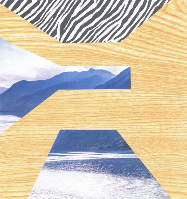 Vikky Alexander, Zebra Skylight, 2018