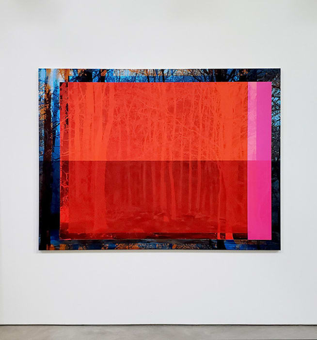 Christian Eckart, Forest 2, 2021